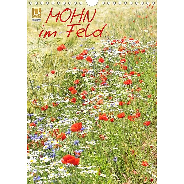 Mohn im Feld (Wandkalender 2021 DIN A4 hoch), Gisela Kruse