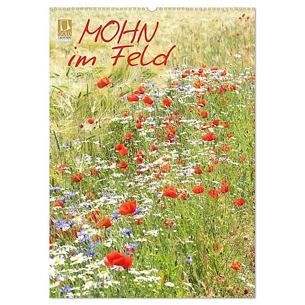 Mohn im Feld (Wandkalender 2024 DIN A2 hoch), CALVENDO Monatskalender, Gisela Kruse