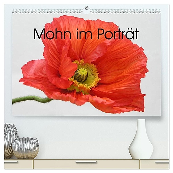 Mohn im Porträt (hochwertiger Premium Wandkalender 2024 DIN A2 quer), Kunstdruck in Hochglanz, Gisela Kruse