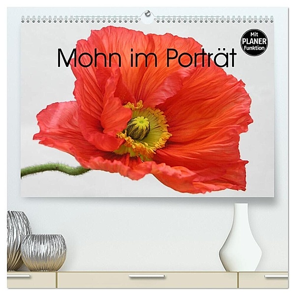 Mohn im Porträt (hochwertiger Premium Wandkalender 2024 DIN A2 quer), Kunstdruck in Hochglanz, Gisela Kruse