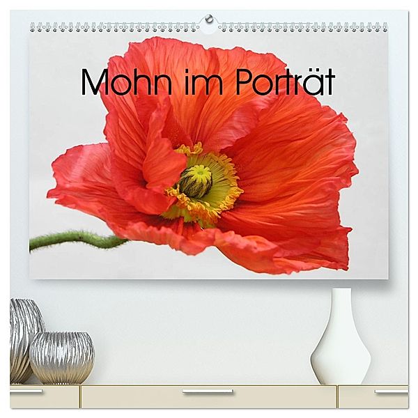 Mohn im Porträt (hochwertiger Premium Wandkalender 2025 DIN A2 quer), Kunstdruck in Hochglanz, Calvendo, Gisela Kruse