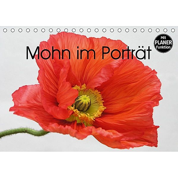 Mohn im Porträt (Tischkalender 2021 DIN A5 quer), Gisela Kruse