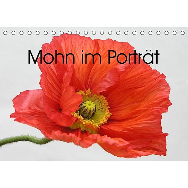 Mohn im Porträt (Tischkalender 2023 DIN A5 quer), Gisela Kruse