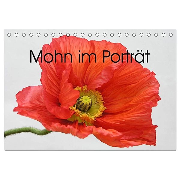 Mohn im Porträt (Tischkalender 2024 DIN A5 quer), CALVENDO Monatskalender, Gisela Kruse