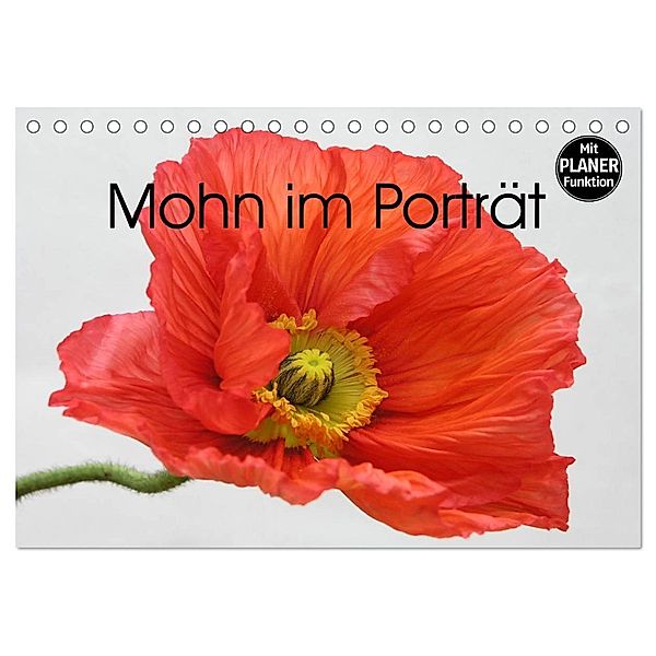 Mohn im Porträt (Tischkalender 2024 DIN A5 quer), CALVENDO Monatskalender, Gisela Kruse