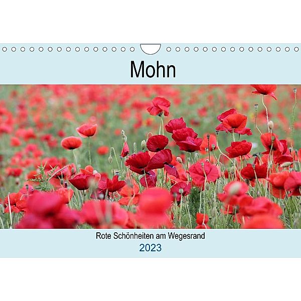 Mohn - rote Schönheiten am Wegesrand (Wandkalender 2023 DIN A4 quer), Carola Mellentin