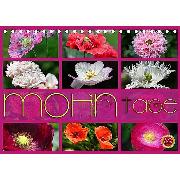 Mohn Tage (Tischkalender 2023 DIN A5 quer), Martina Cross