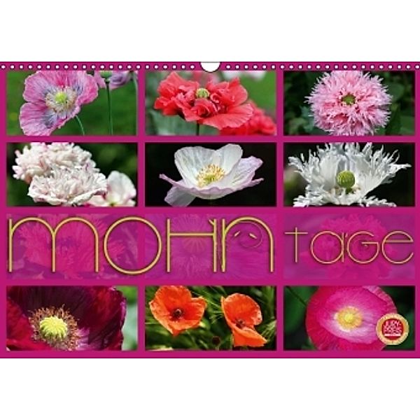 Mohn Tage (Wandkalender 2016 DIN A3 quer), Martina Cross