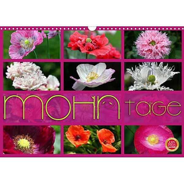 Mohn Tage (Wandkalender 2022 DIN A3 quer), Martina Cross