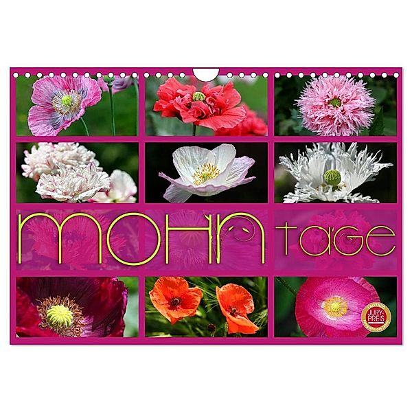 Mohn Tage (Wandkalender 2024 DIN A4 quer), CALVENDO Monatskalender, Martina Cross