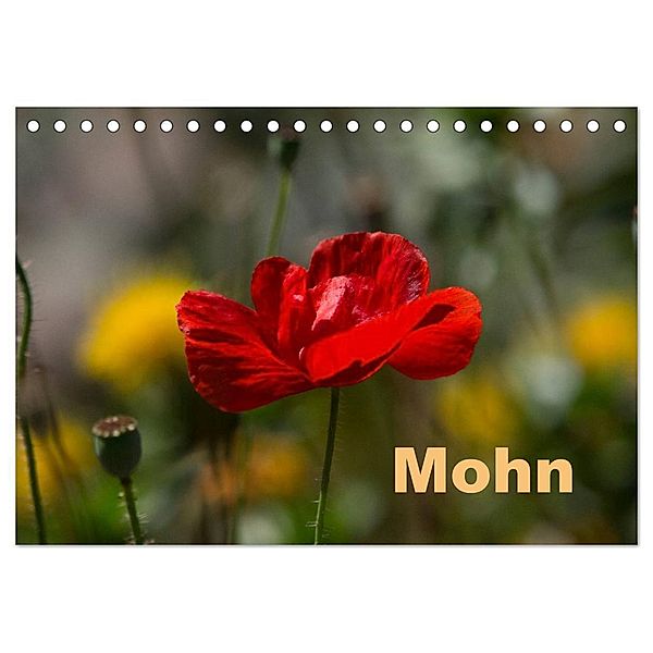 Mohn (Tischkalender 2024 DIN A5 quer), CALVENDO Monatskalender, Erwin Renken