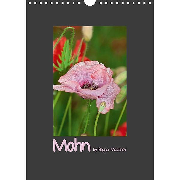 Mohn (Wandkalender 2019 DIN A4 hoch), Bogna Mazunov