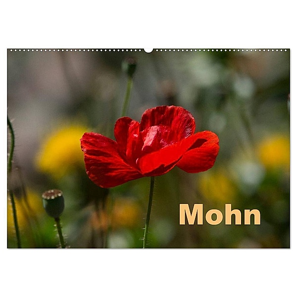 Mohn (Wandkalender 2024 DIN A2 quer), CALVENDO Monatskalender, Erwin Renken