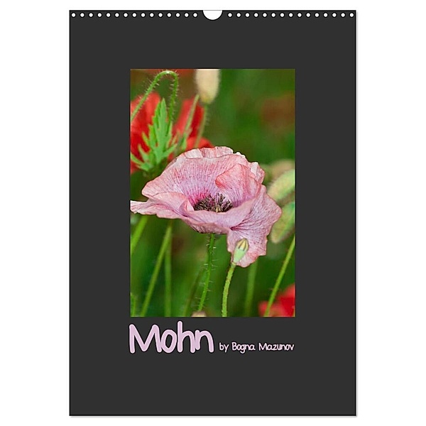 Mohn (Wandkalender 2024 DIN A3 hoch), CALVENDO Monatskalender, Bogna Mazunov
