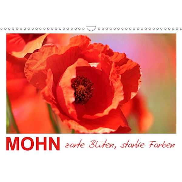 Mohn, zarte Blüten, starke Farben (Wandkalender 2021 DIN A3 quer), Sabine Löwer