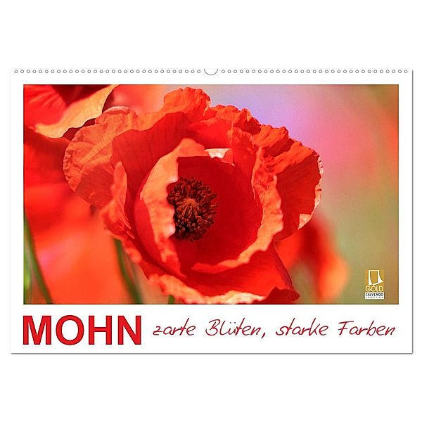 Mohn, zarte Blüten, starke Farben (Wandkalender 2024 DIN A2 quer), CALVENDO Monatskalender, Sabine Löwer