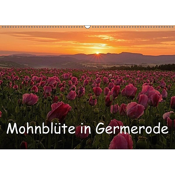 Mohnblüte in Germerode (Wandkalender 2017 DIN A2 quer), Lutz Klapp
