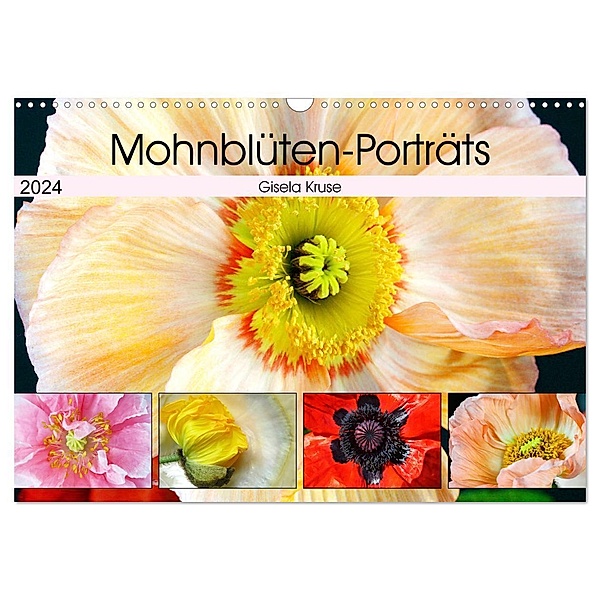 Mohnblüten-Porträts (Wandkalender 2024 DIN A3 quer), CALVENDO Monatskalender, Gisela Kruse