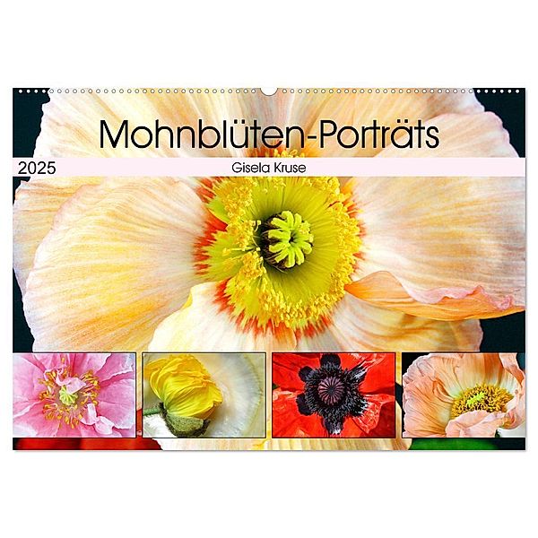 Mohnblüten-Porträts (Wandkalender 2025 DIN A2 quer), CALVENDO Monatskalender, Calvendo, Gisela Kruse