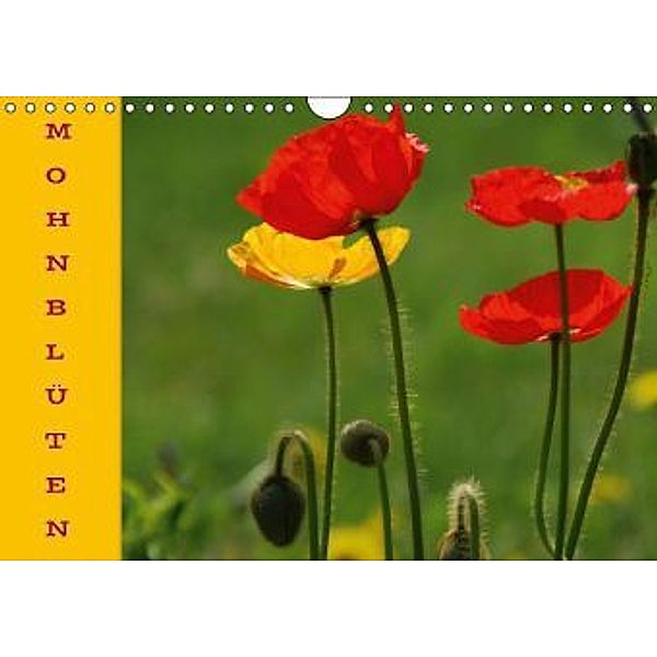 MOHNBLÜTEN (Wandkalender 2014 DIN A4 quer), GUGIGEI