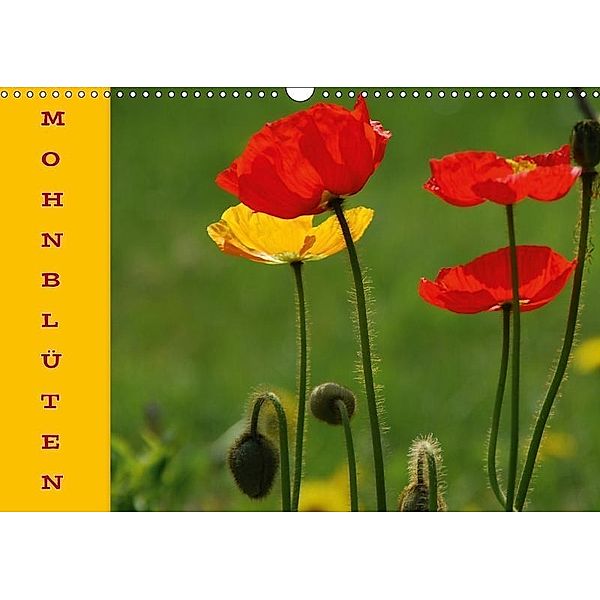 MOHNBLÜTEN (Wandkalender 2017 DIN A3 quer), GUGIGEI