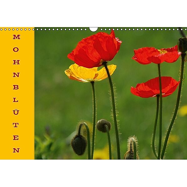 MOHNBLÜTEN (Wandkalender 2018 DIN A3 quer), GUGIGEI