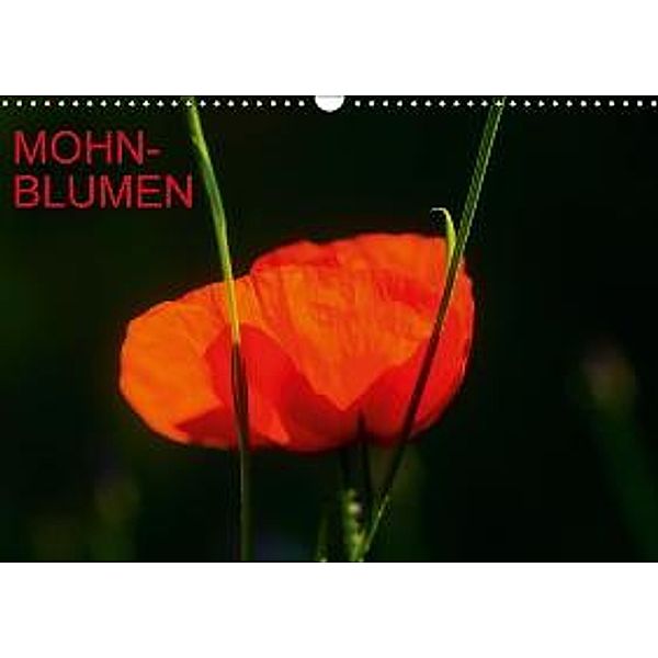 Mohnblumen (AT-Version) (Wandkalender 2015 DIN A3 quer), Thomas Jäger
