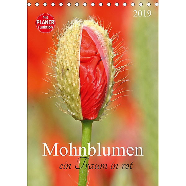 Mohnblumen-ein Traum in rot (Tischkalender 2019 DIN A5 hoch), SchnelleWelten