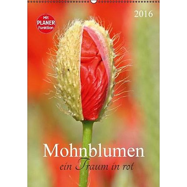 Mohnblumen-ein Traum in rot (Wandkalender 2016 DIN A2 hoch), SchnelleWelten