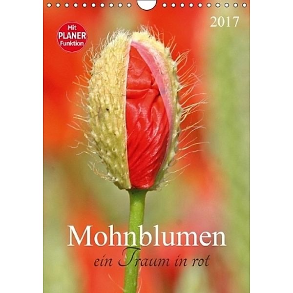 Mohnblumen-ein Traum in rot (Wandkalender 2017 DIN A4 hoch), SchnelleWelten