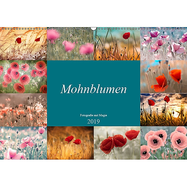 Mohnblumen - Fotografie mit Magie (Wandkalender 2019 DIN A2 quer), Julia Delgado