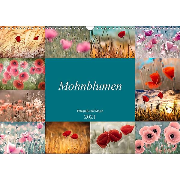 Mohnblumen - Fotografie mit Magie (Wandkalender 2021 DIN A3 quer), Julia Delgado