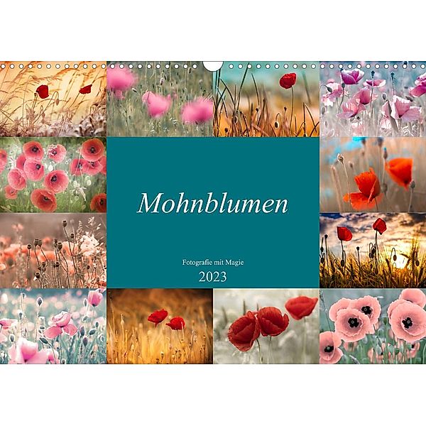 Mohnblumen - Fotografie mit Magie (Wandkalender 2023 DIN A3 quer), Julia Delgado