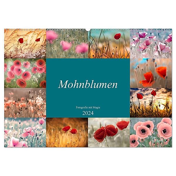 Mohnblumen - Fotografie mit Magie (Wandkalender 2024 DIN A2 quer), CALVENDO Monatskalender, Julia Delgado