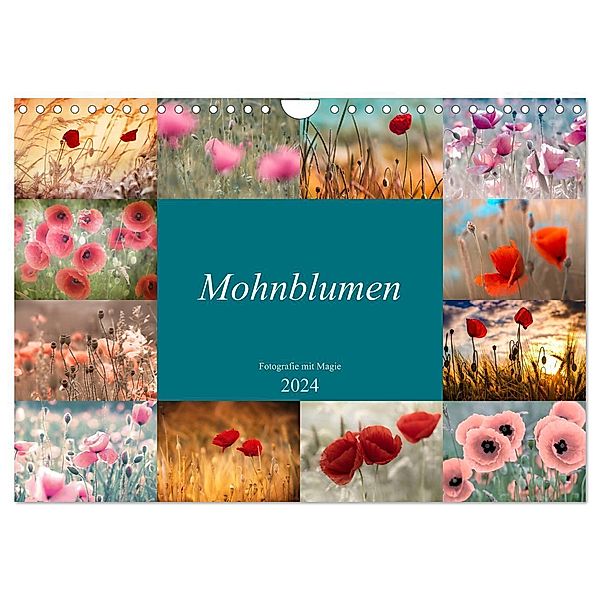 Mohnblumen - Fotografie mit Magie (Wandkalender 2024 DIN A4 quer), CALVENDO Monatskalender, Julia Delgado