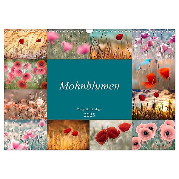 Mohnblumen - Fotografie mit Magie (Wandkalender 2025 DIN A3 quer), CALVENDO Monatskalender, Calvendo, Julia Delgado