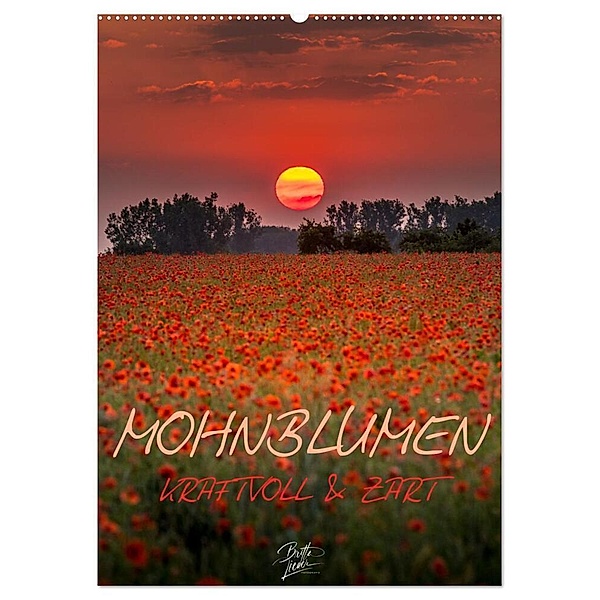 Mohnblumen - kraftvoll und zart (Wandkalender 2024 DIN A2 hoch), CALVENDO Monatskalender, Britta Lieder