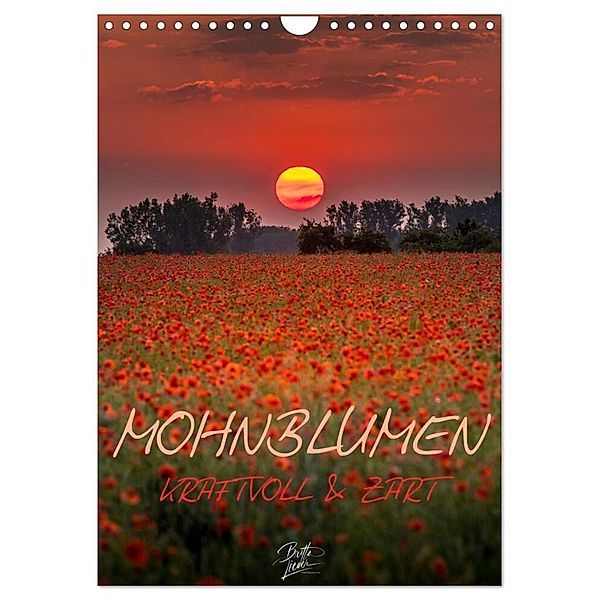 Mohnblumen - kraftvoll und zart (Wandkalender 2024 DIN A4 hoch), CALVENDO Monatskalender, Britta Lieder