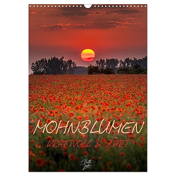 Mohnblumen - kraftvoll und zart (Wandkalender 2024 DIN A3 hoch), CALVENDO Monatskalender, Britta Lieder