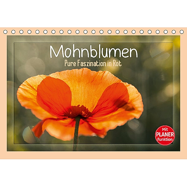 Mohnblumen - Pure Faszination in Rot (Tischkalender 2019 DIN A5 quer), Andrea Potratz