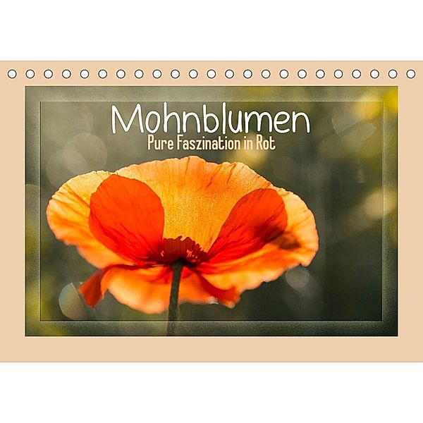 Mohnblumen - Pure Faszination in Rot (Tischkalender 2023 DIN A5 quer), Andrea Potratz