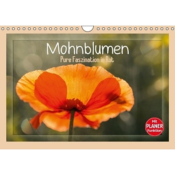 Mohnblumen - Pure Faszination in Rot (Wandkalender 2016 DIN A4 quer), Andrea Potratz