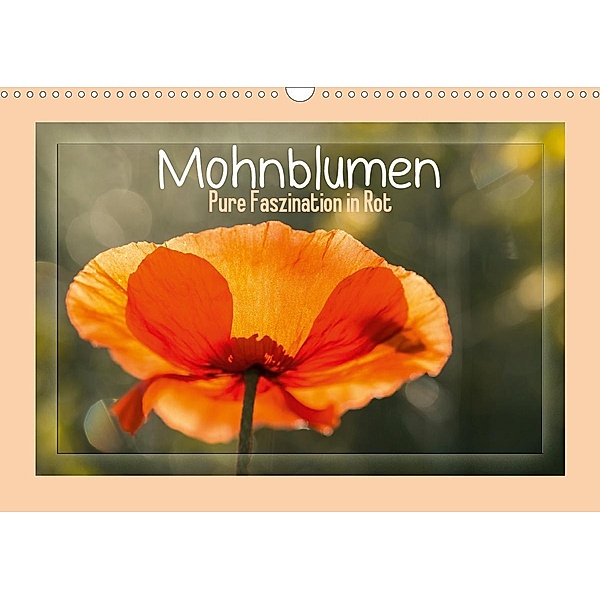 Mohnblumen - Pure Faszination in Rot (Wandkalender 2021 DIN A3 quer), Andrea Potratz
