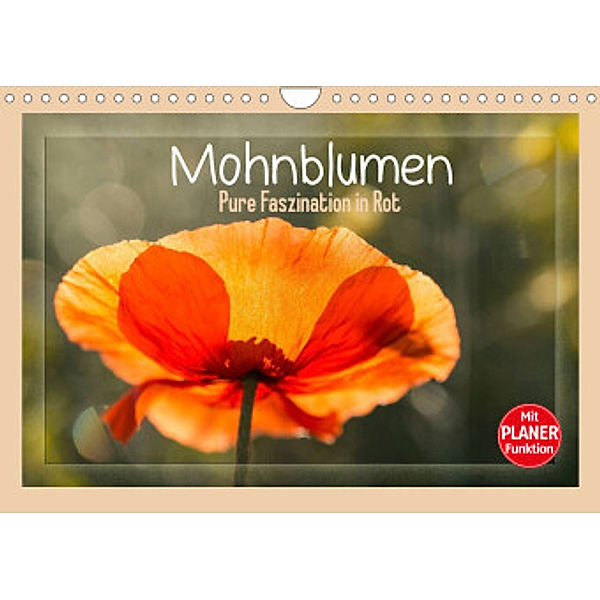 Mohnblumen - Pure Faszination in Rot (Wandkalender 2022 DIN A4 quer), Andrea Potratz