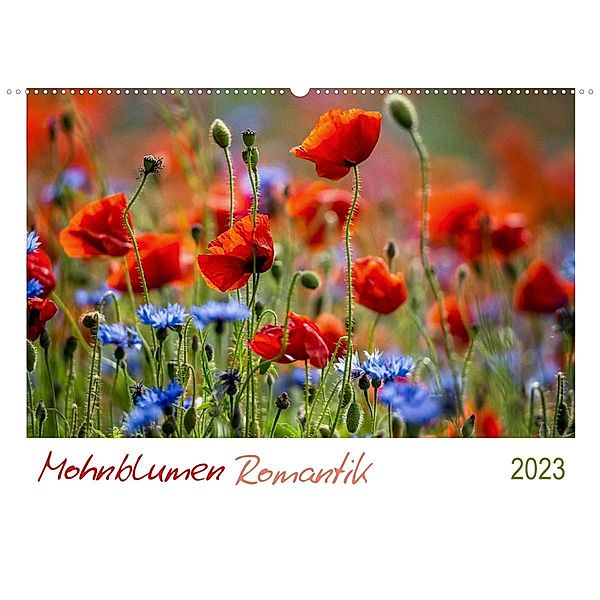 Mohnblumen Romantik (Wandkalender 2023 DIN A2 quer), Linda Geisdorf