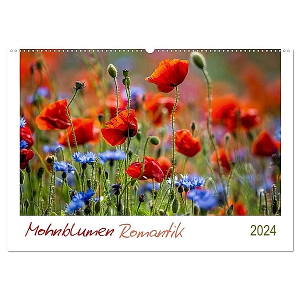 Mohnblumen Romantik (Wandkalender 2024 DIN A2 quer), CALVENDO Monatskalender, Linda Geisdorf