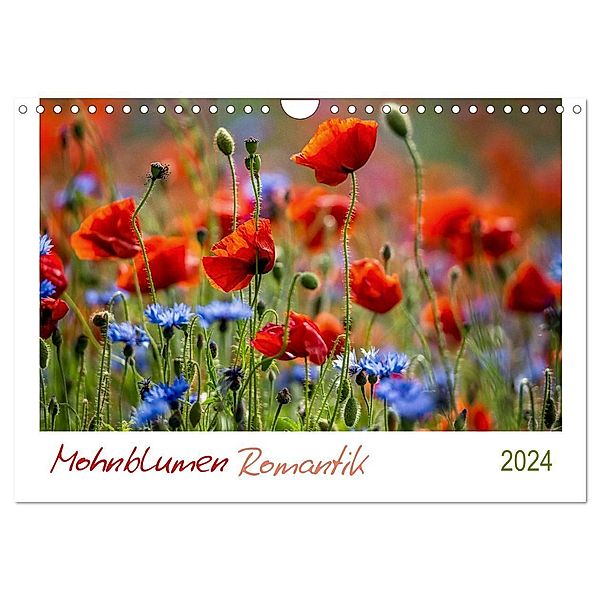 Mohnblumen Romantik (Wandkalender 2024 DIN A4 quer), CALVENDO Monatskalender, Linda Geisdorf