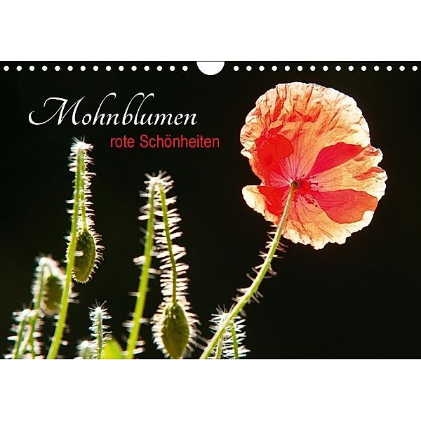 Mohnblumen - rote Schönheiten (Wandkalender 2017 DIN A4 quer), Meike Bölts