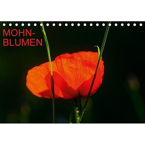 Mohnblumen (Tischkalender 2017 DIN A5 quer), Thomas Jäger