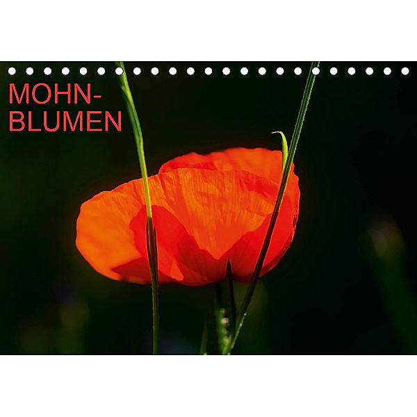 Mohnblumen (Tischkalender 2019 DIN A5 quer), Thomas Jäger